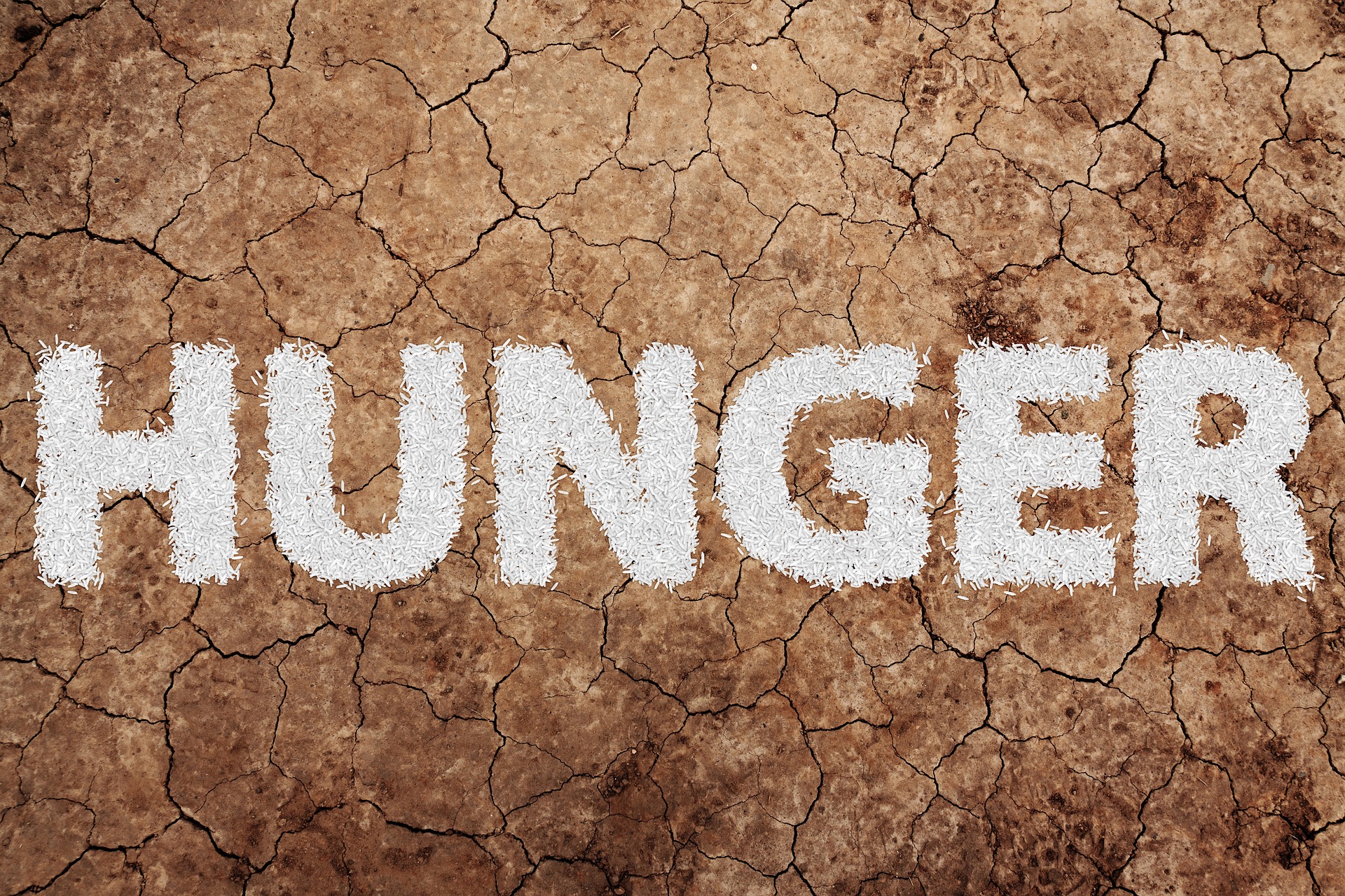 hunger-3839782_1920